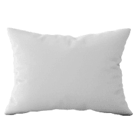 Example 3: Pillow